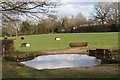 Equestrian gymkhana at Lodge Farm