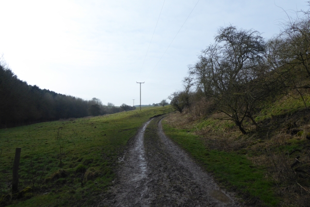 Track towards Wharram Percy