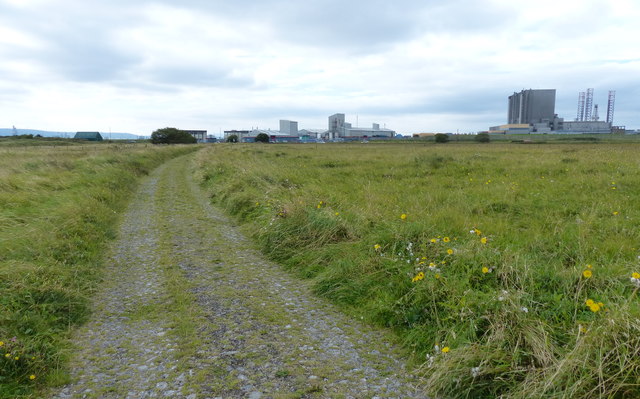 Track at the Teesmouth National Nature Reserve
