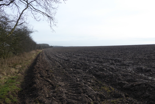 Muddy field beside the Wolds Way