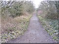 Railway Walk