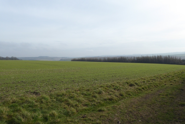 Fields in Raisthorpe Wold