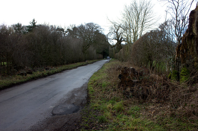 Road to Lodge Hill
