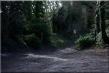 SP8607 : Ridgeway at Ellesborough Road by Robert Eva