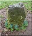ST3958 : Beard's Stone, near Banwell, Somerset by Rick Crowley
