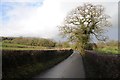 Country road to East Harptree