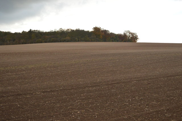 Field and Ten Acre Plantation
