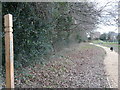 Greenway sign and new path