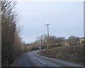 Contrasting hedges north of Nadrid Cross