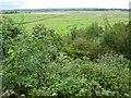 View across the water meadows from Cross Gate