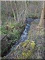 Rivelin Valley Trail, Rivelin Valley, Sheffield