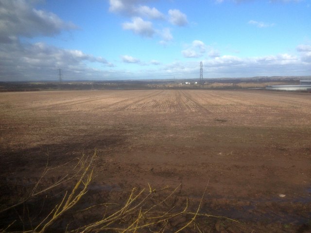 Fields near Castle Donington