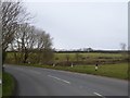 Clearing a hedge near Brakebrook