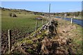 ST4953 : Remains of a drystone wall by Philip Halling