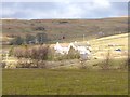 Houses at Wellgill