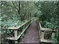 SP8342 : Boardwalk in the Linford Lakes Nature Reserve by Philip Jeffrey
