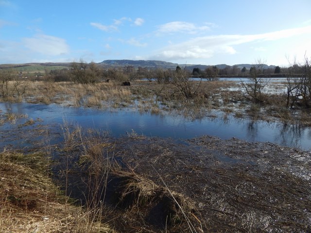 Swampy ground by Mains of Cardross