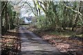 Country road at Pedler