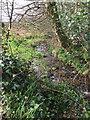 A brook past Collaford Wood