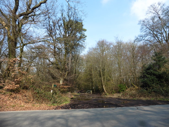 'Muddy  Lane'