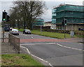 Pelican crossing, St David