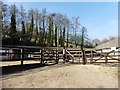 Stables at Devenish Pitt Farm