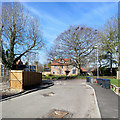 Bottisham: large house and grand trees