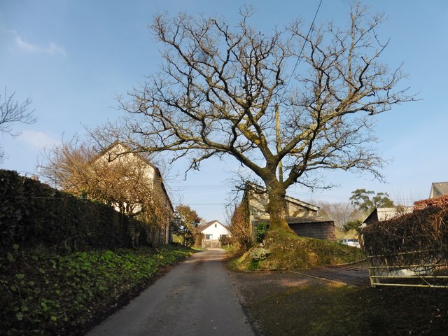 Approaching Church Green from the south