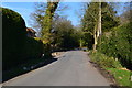 Lane at Steep Marsh Farm Cottages