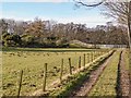 Track to the River Nairn