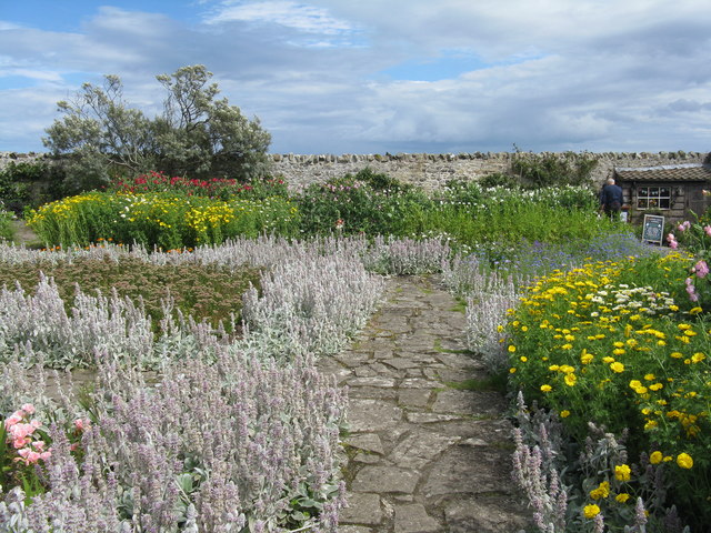 Gertrude Jekyll's garden at Lindisfarne