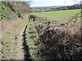 Footpath near Pilgrims Ash