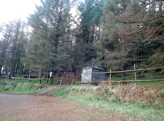Carlingford Adventure Assault Course in Slieve Foye Forest