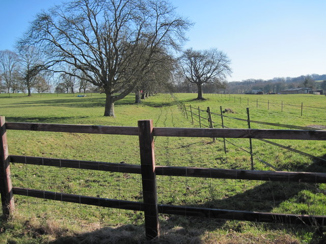 Fields at Hazeley Down