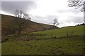 Fields, Llanerchir