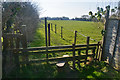 Alstone : Grassy Footpath