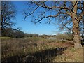 Pyrford Golf Course with Lakes