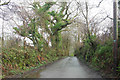 Lane near Longcarne Farm