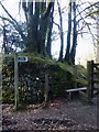 SX1161 : Footpath into Trapp Wood from Cott Road by Rob Farrow