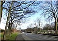 Looking east along Hylton Road