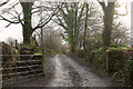 Watermill Walk near Tregoodwell