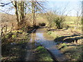 Flooded track west of the River Alyn/Afon Alun