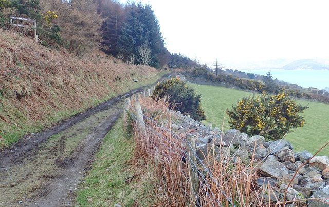 Track with public rights of way leading from the Slieve Foye Woods to King John's Castle