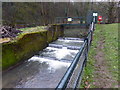 Weir on the River Frome in Eastville Park