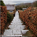 White steps and path in Croesyceiliog, Cwmbran