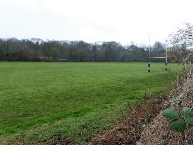 Colston's Field