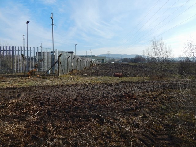 Recently-cleared land at Kilmalid