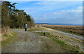 SD2973 : Shoreline Path Near Bardsea by Mary and Angus Hogg