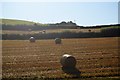 Bales in a field