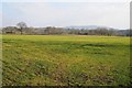 Farmland near Woonton